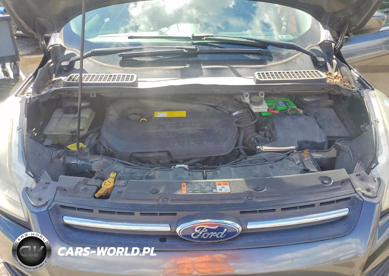 2015 Ford Escape Se VIN:1FMCU0GX6FUB80229 - 12
