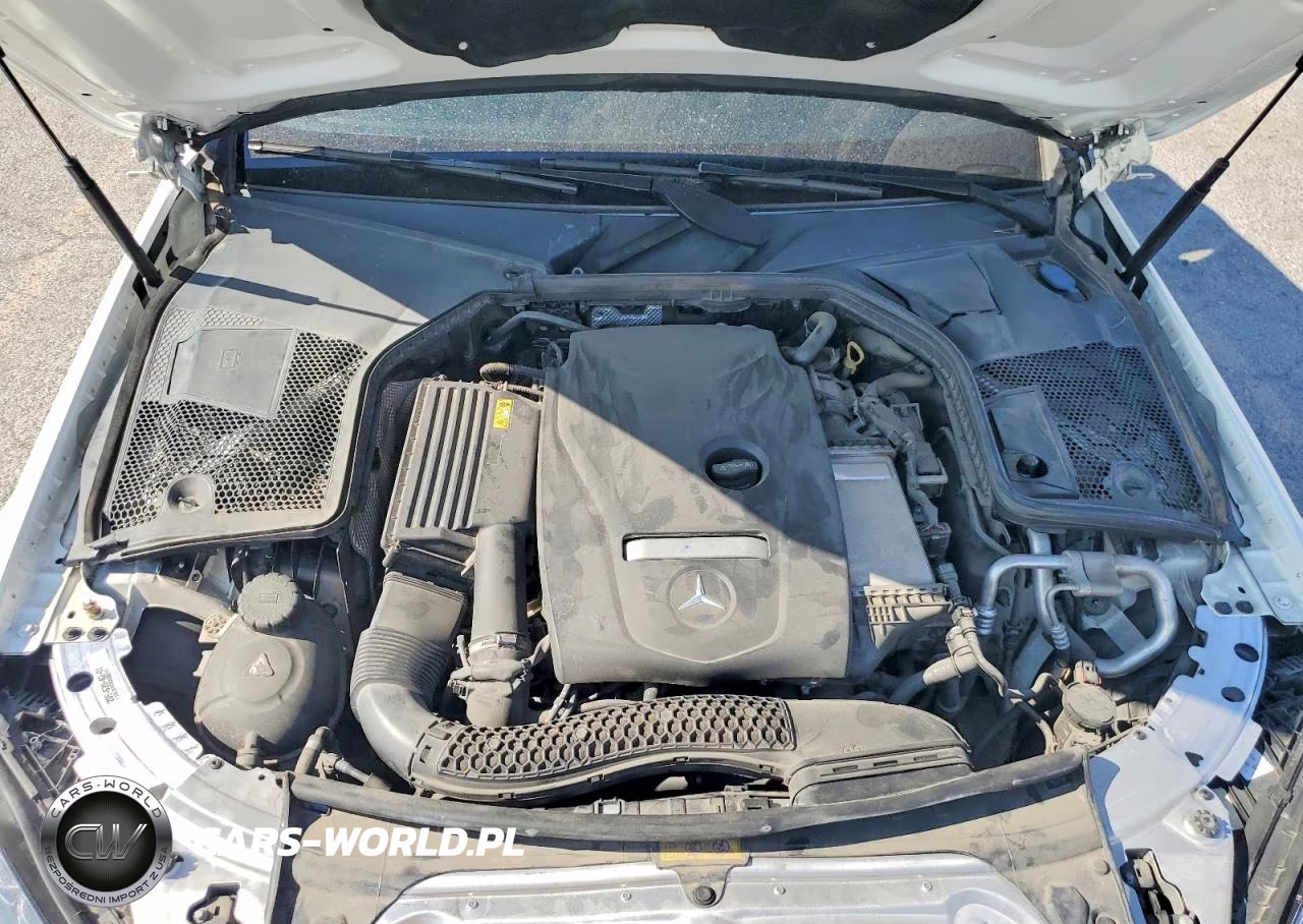 2018 Mercedes-Benz C 300 VIN:WDDWK4JB4JF609365 - 11