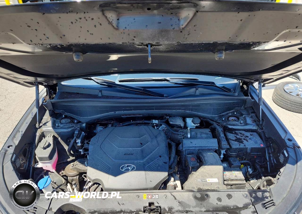2025 Hyundai Palisade Sel VIN:KM8R24GE0SU903492 - 12