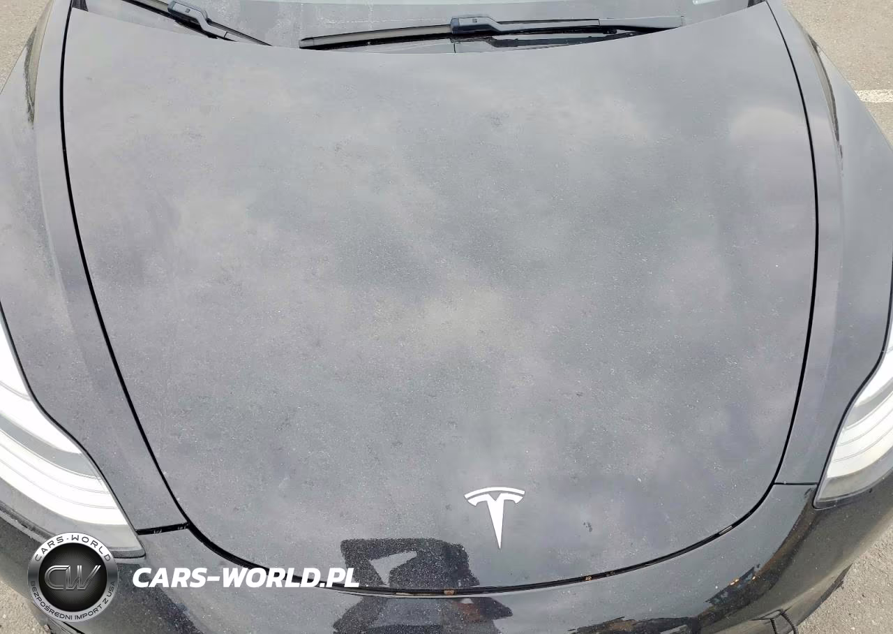 2020 Tesla Model 3 VIN:5YJ3E1EA9LF606294 - 11