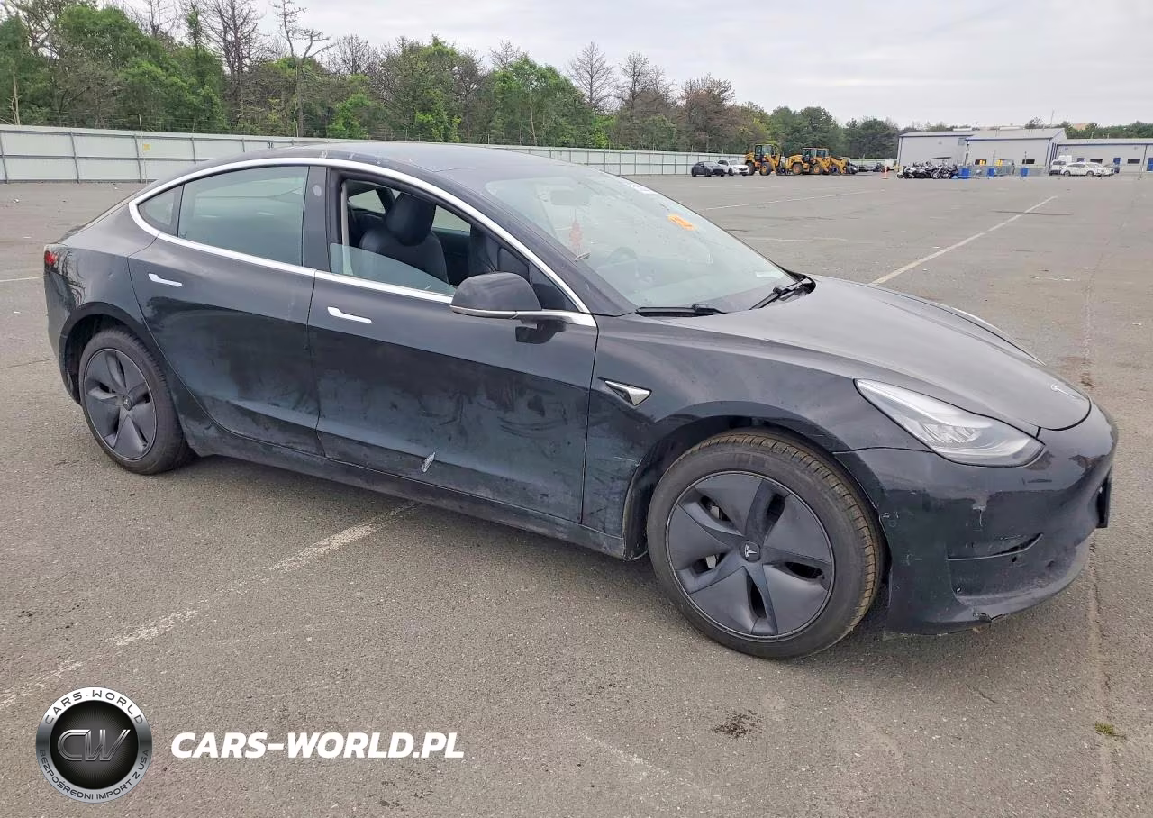 2020 Tesla Model 3 VIN:5YJ3E1EA9LF606294 - 4