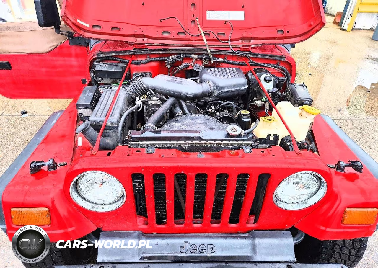 1998 Jeep Wrangler - Tj Se VIN:1J4FY29P2WP764165 - 11