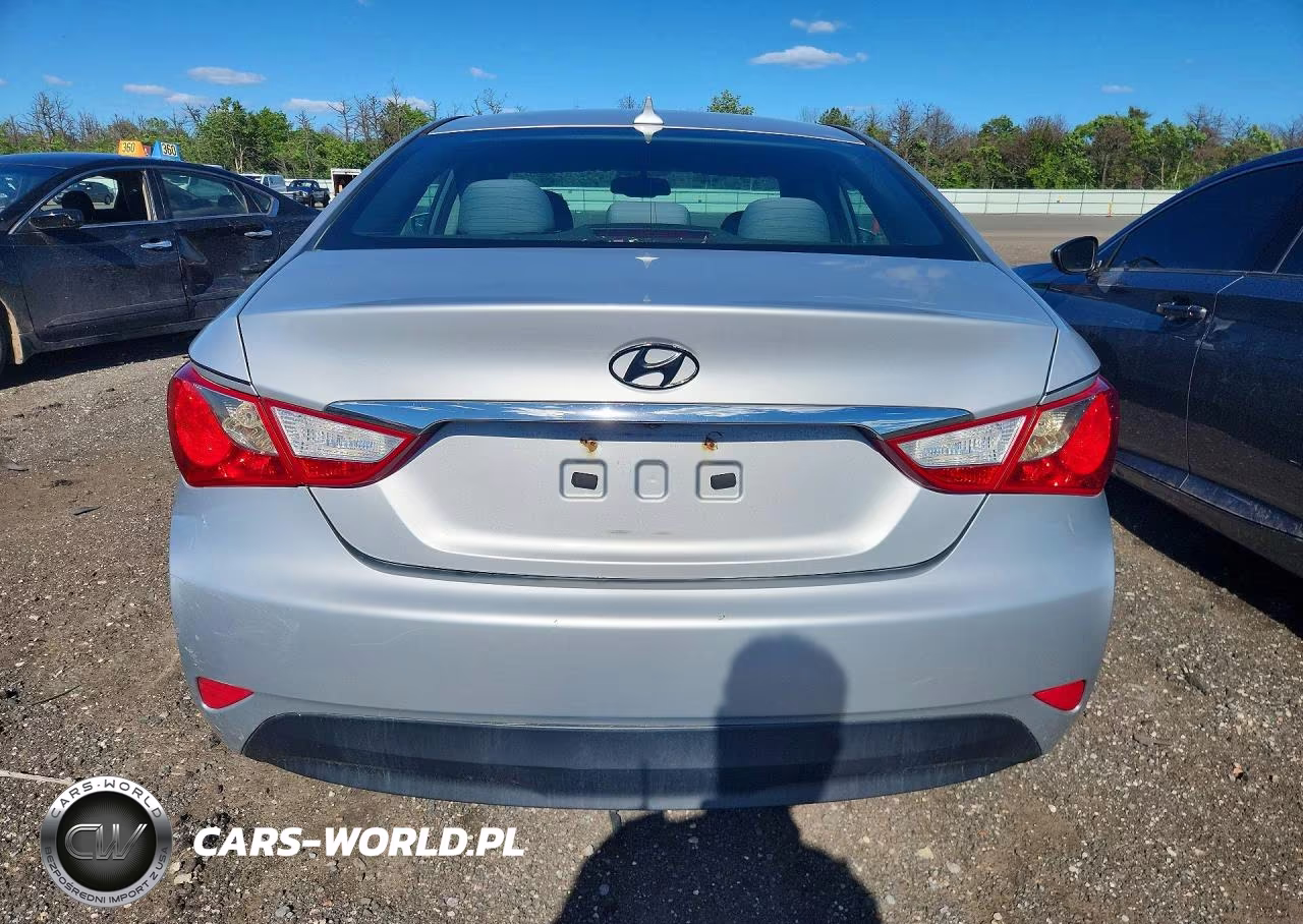 2014 Hyundai Sonata Gls VIN:5NPEB4AC6EH820531 - 6