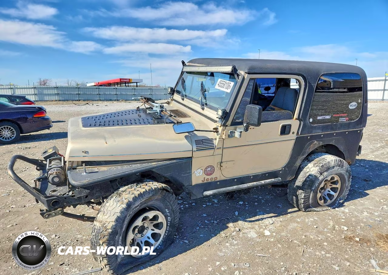 1993 Jeep Wrangler - Yj Sahara