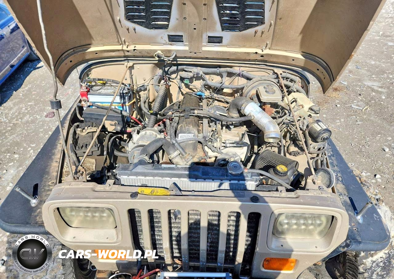 1993 Jeep Wrangler - Yj Sahara VIN:1J4FY49S1PP245075 - 12