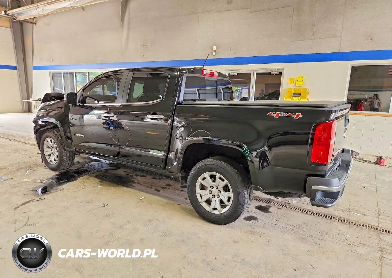 2019 Chevrolet Colorado Lt VIN:1GCGTCEN7K1341968 - 2