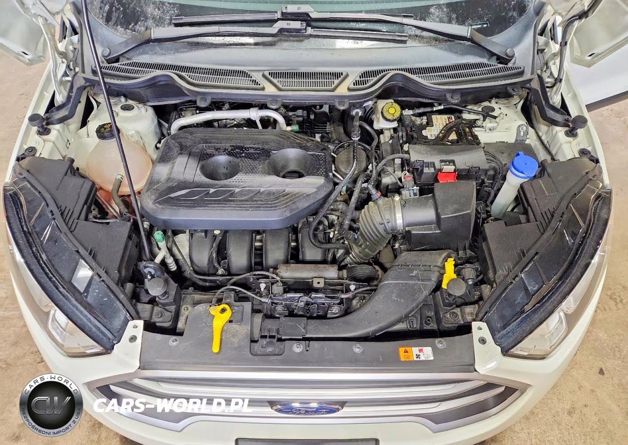2022 Ford Ecosport Se VIN:MAJ6S3GL1NC475478 - 12