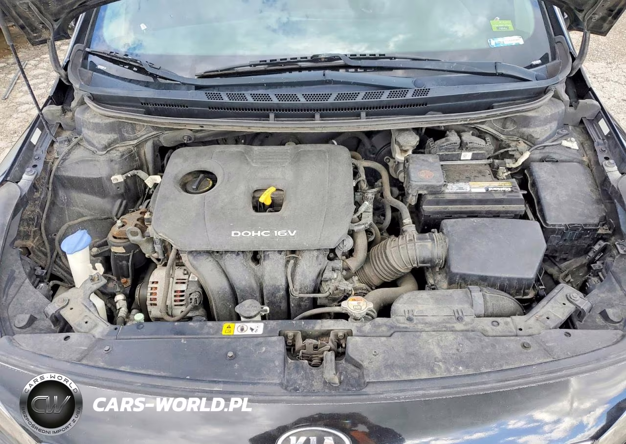 2018 Kia Forte Lx VIN:3KPFL4A70JE261139 - 11