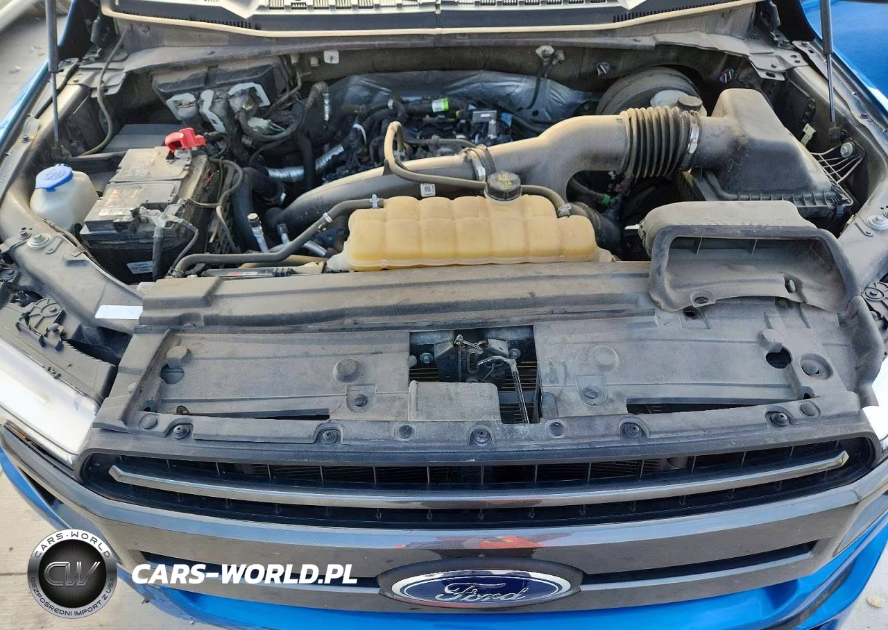 2020 Ford F150 Supercrew VIN:1FTEW1CPXLKE92998 - 11