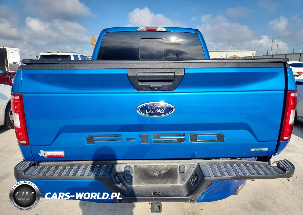 2020 Ford F150 Supercrew VIN:1FTEW1CPXLKE92998 - 6
