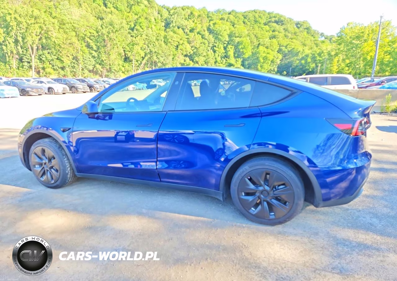 2023 Tesla Model Y VIN:7SAYGDEE4PF827086 - 2