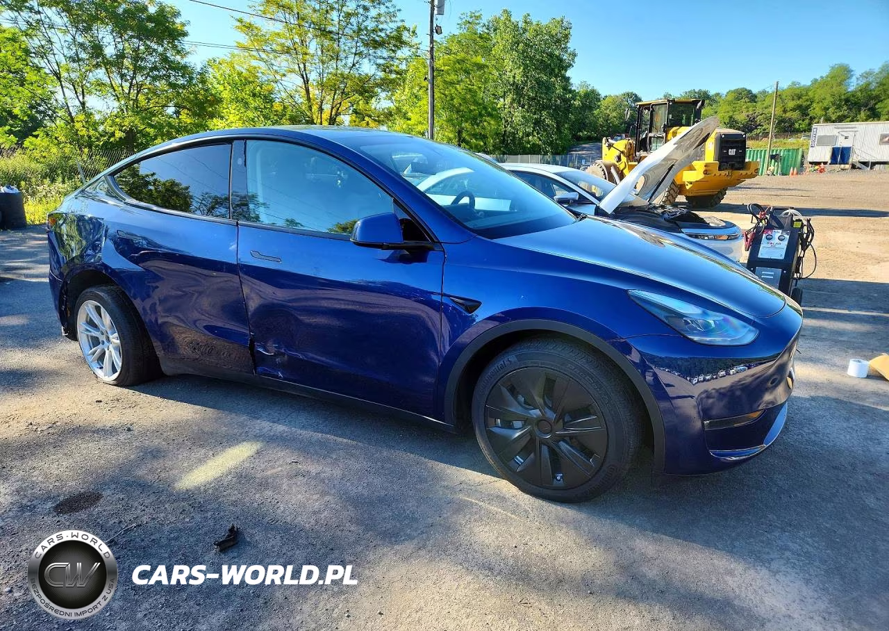 2023 Tesla Model Y VIN:7SAYGDEE4PF827086 - 4