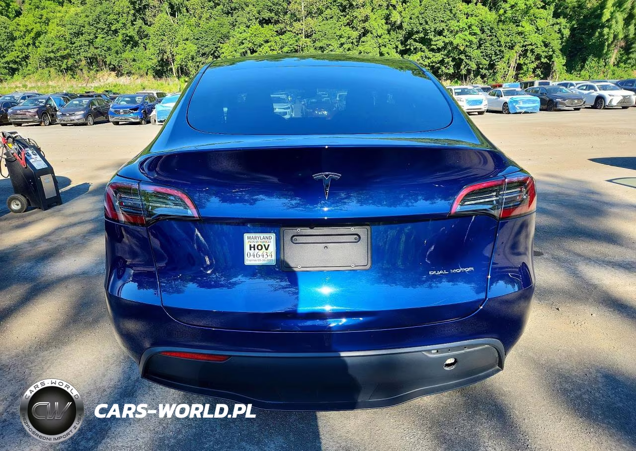 2023 Tesla Model Y VIN:7SAYGDEE4PF827086 - 6