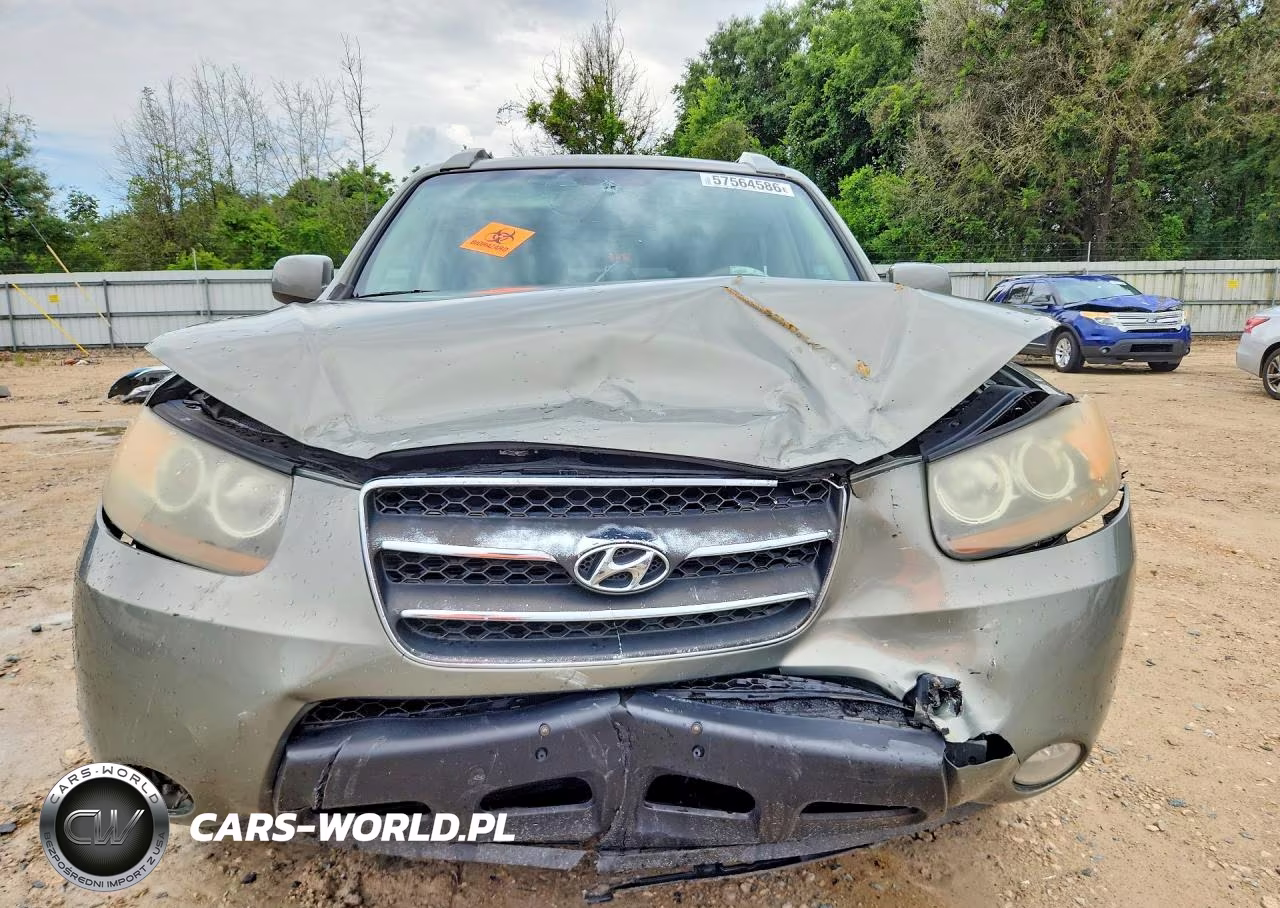 2007 Hyundai Santa Fe Se VIN:5NMSH13E67H108051 - 5