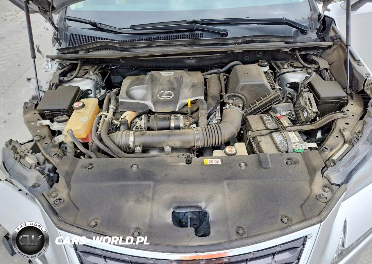 2019 Lexus Nx 300 Base VIN:JTJYARBZ1K2140689 - 12