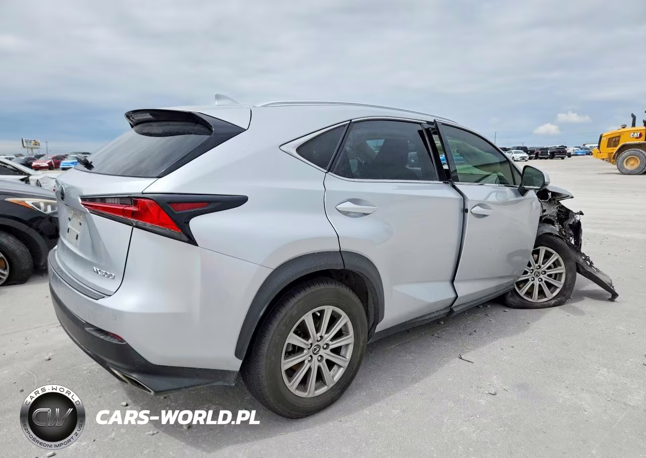 2019 Lexus Nx 300 Base VIN:JTJYARBZ1K2140689 - 3