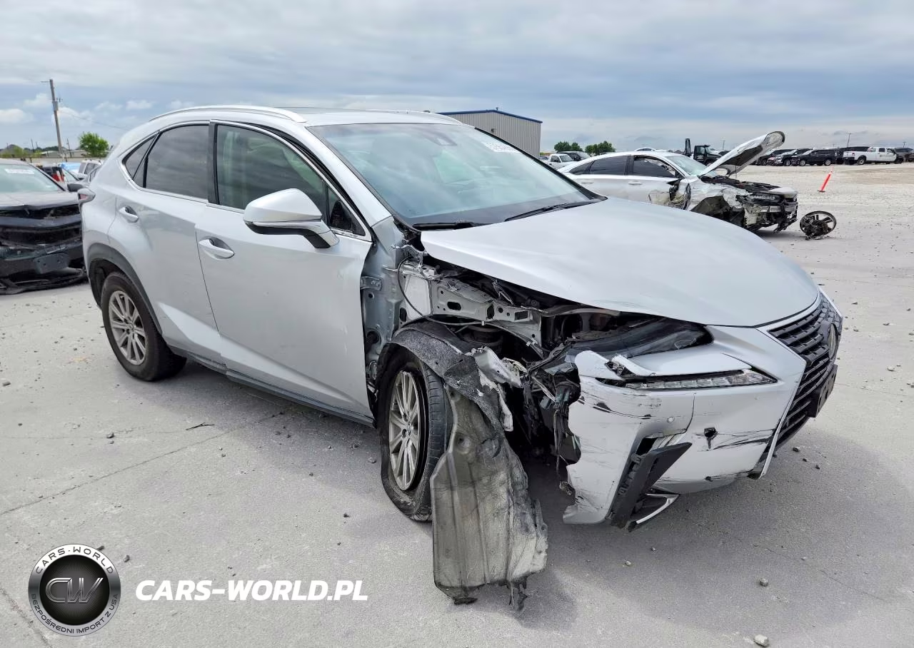 2019 Lexus Nx 300 Base VIN:JTJYARBZ1K2140689 - 4