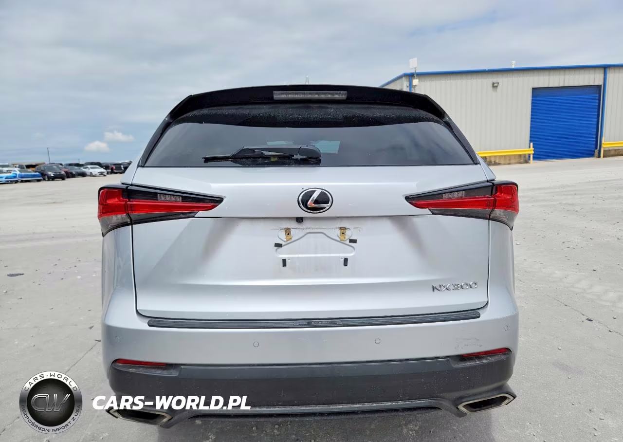 2019 Lexus Nx 300 Base VIN:JTJYARBZ1K2140689 - 6