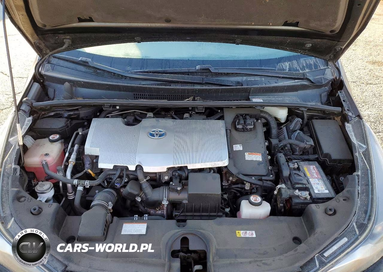 2019 Toyota Prius Xle VIN:JTDKARFU6K3079406 - 11