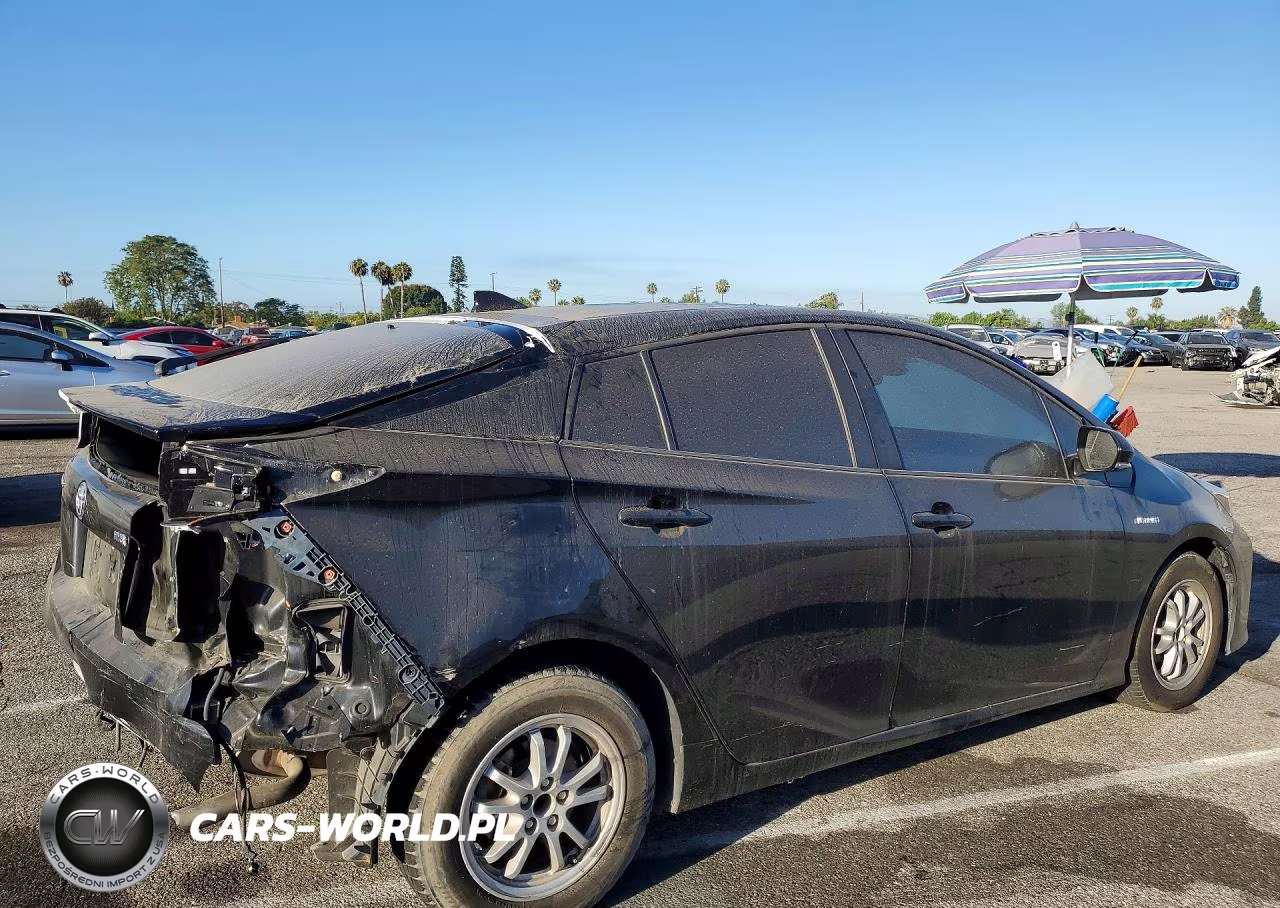 2019 Toyota Prius Xle VIN:JTDKARFU6K3079406 - 3