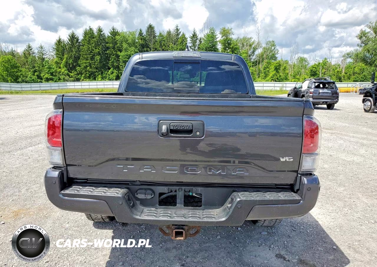 2020 Toyota Tacoma Trd Off-Road VIN:3TMCZ5AN8LM369152 - 6