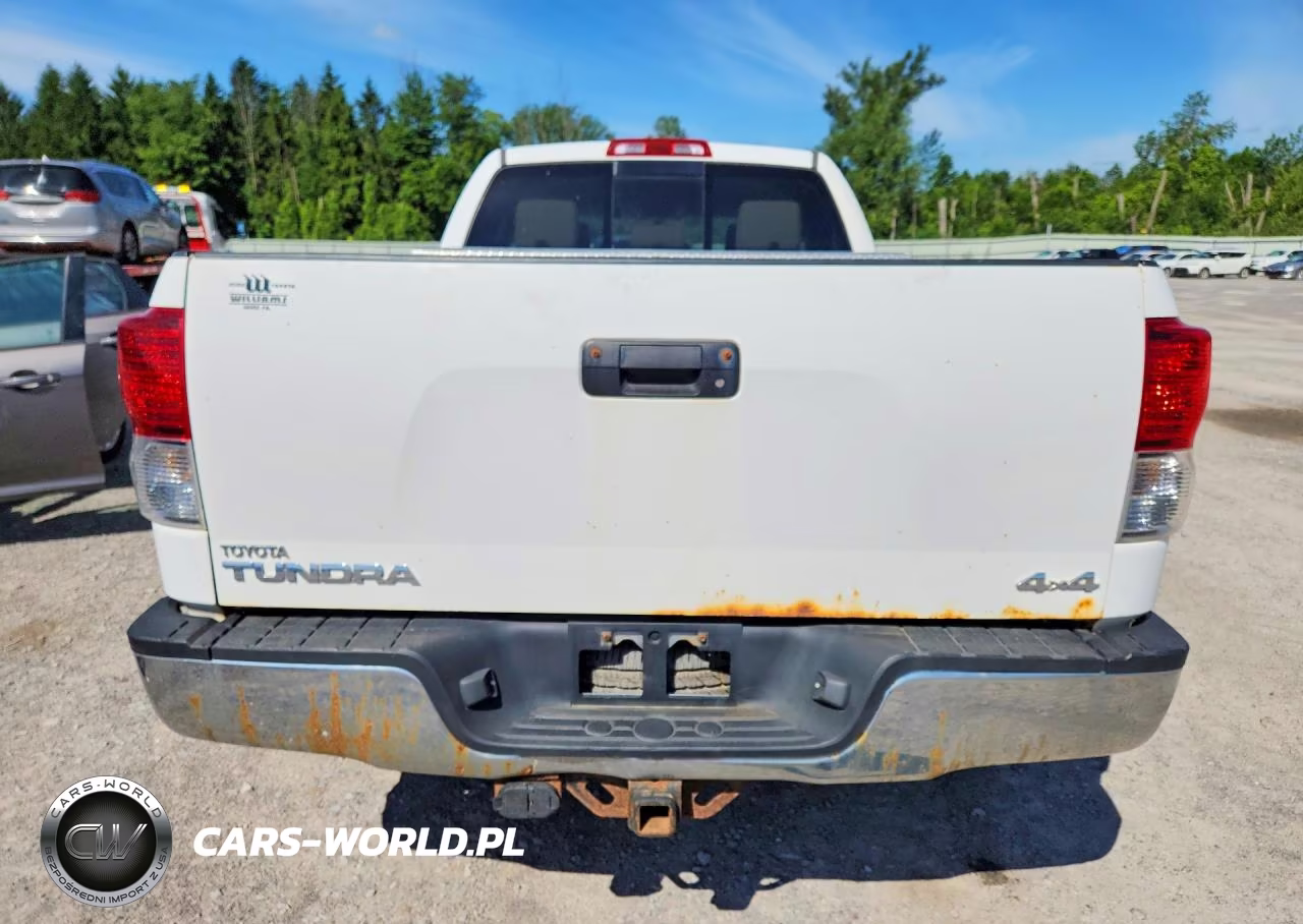 2010 Toyota Tundra Double Cab Sr5 VIN:5TFUY5F1XAX110313 - 6