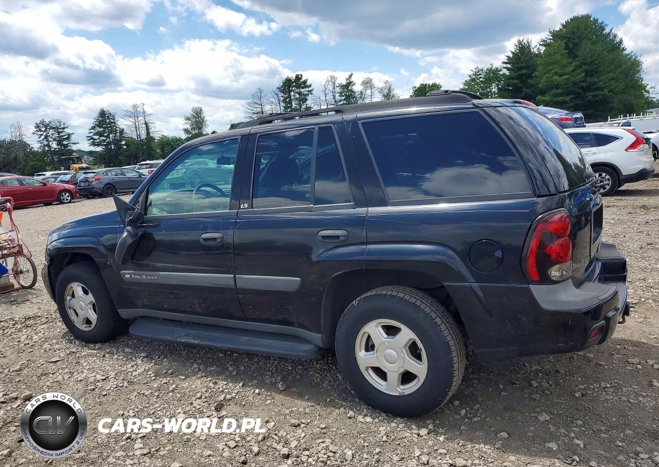 2003 Chevrolet Trailblazer VIN:1GNDT13S332126803 - 2