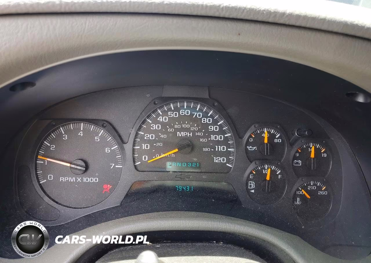 2003 Chevrolet Trailblazer VIN:1GNDT13S332126803 - 9