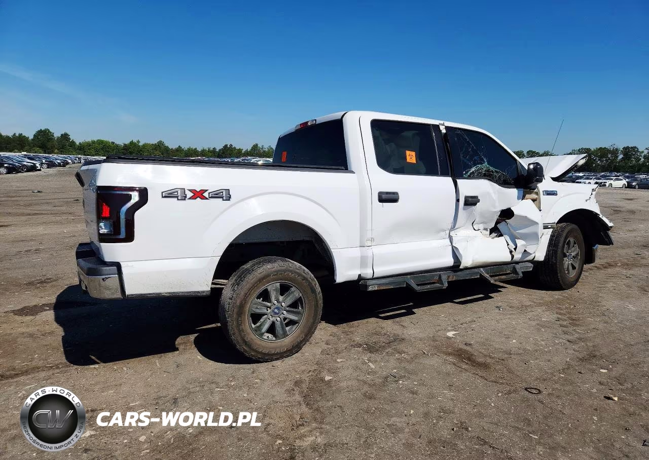 2016 Ford F150 Supercrew VIN:1FTEW1EG3GFA73256 - 3
