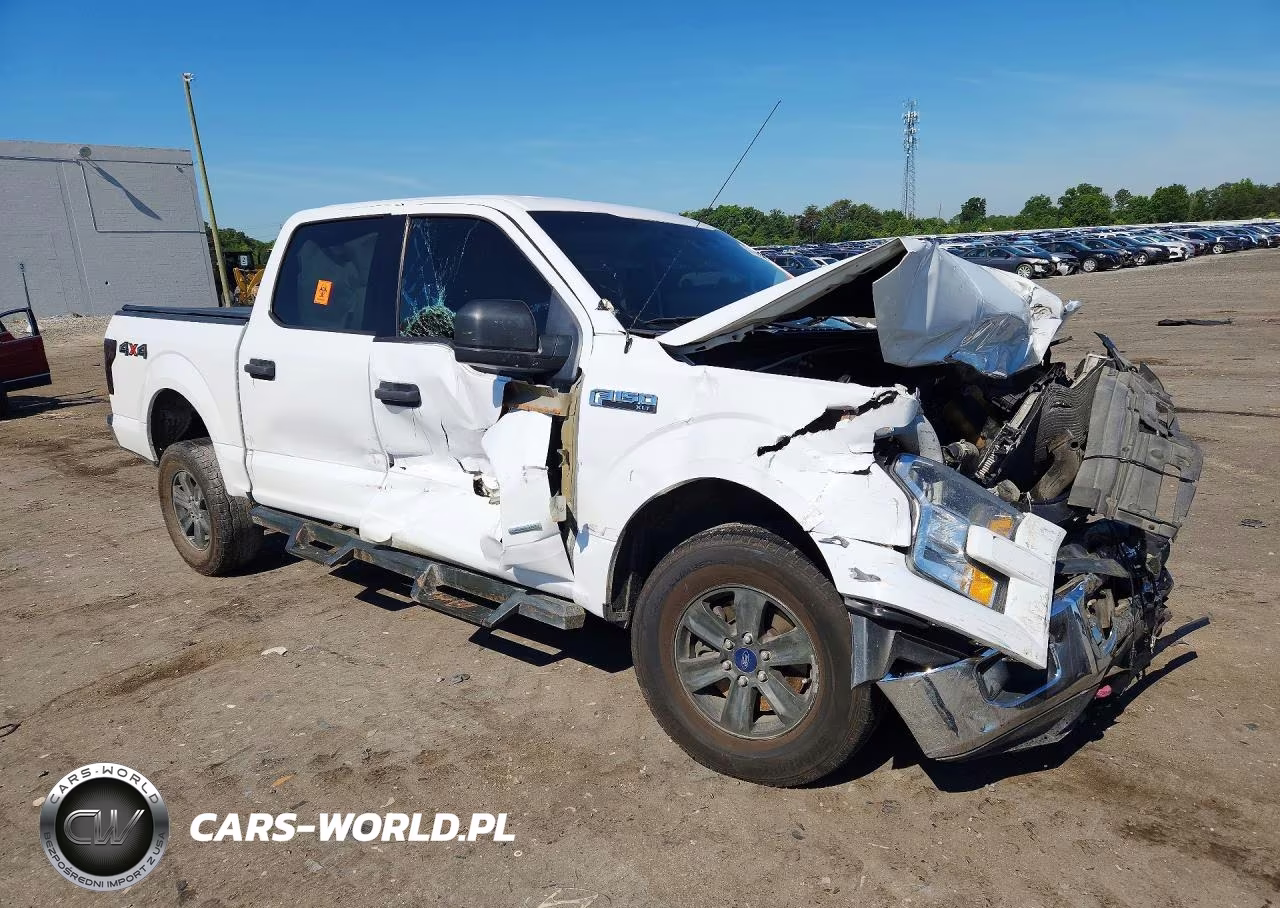 2016 Ford F150 Supercrew VIN:1FTEW1EG3GFA73256 - 4