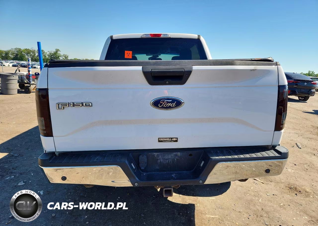 2016 Ford F150 Supercrew VIN:1FTEW1EG3GFA73256 - 6