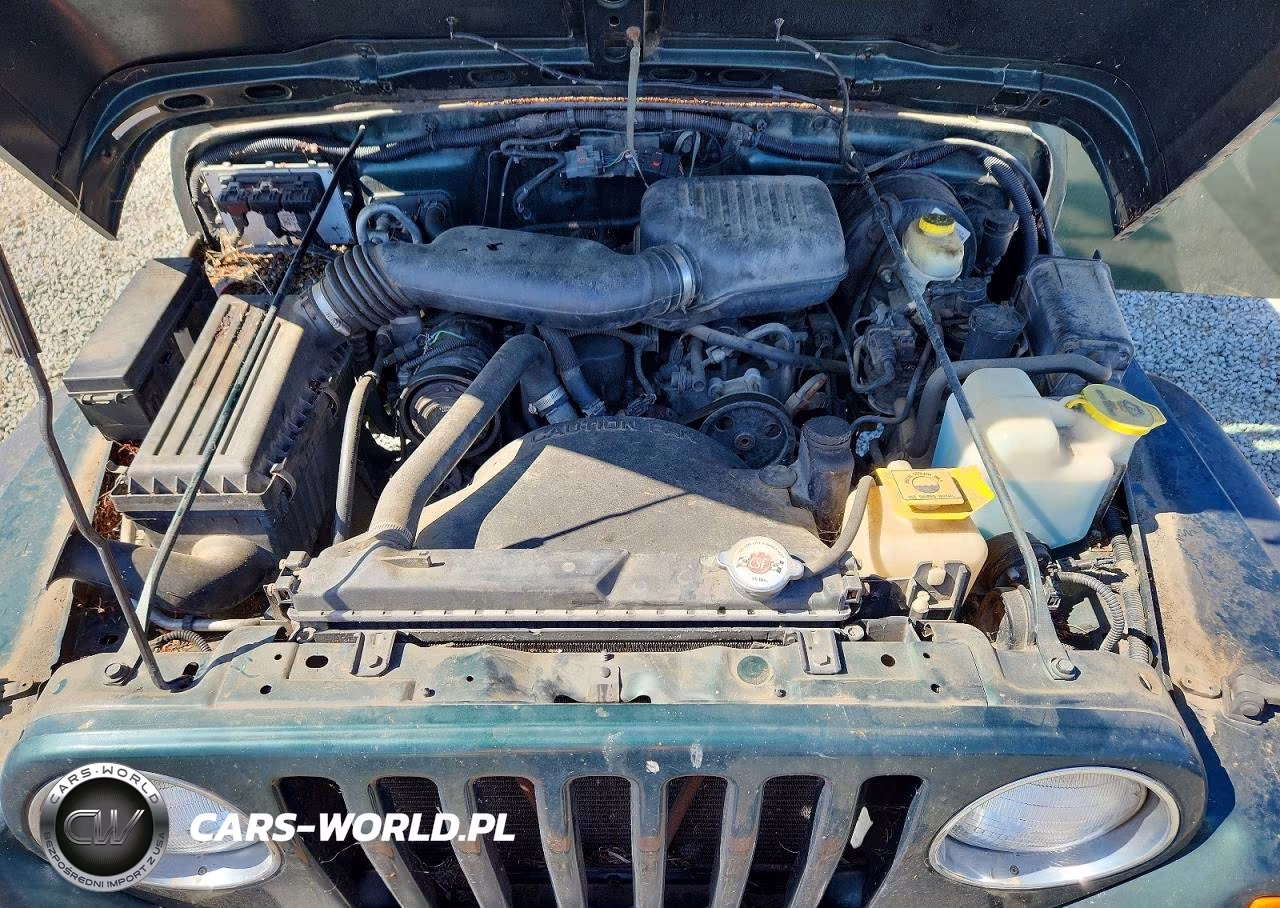 2001 Jeep Wrangler - Tj Se VIN:1J4FA29P51P314720 - 11