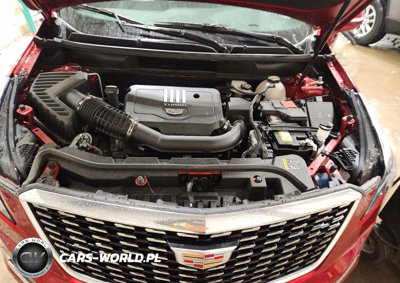 2024 Cadillac Xt5 Luxury VIN:1GYKNBR46RZ755104 - 11