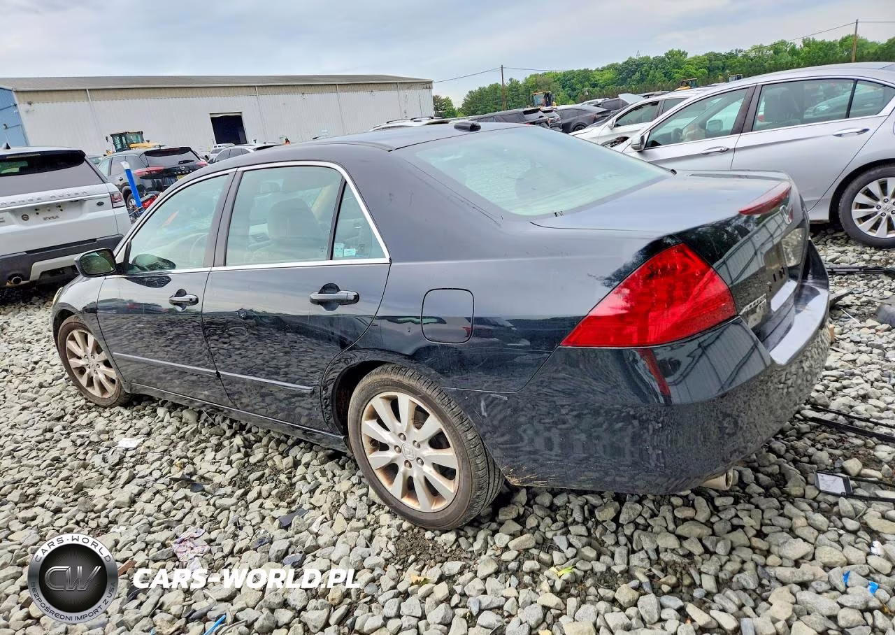 2006 Honda Accord Ex VIN:1HGCM66536A060981 - 2