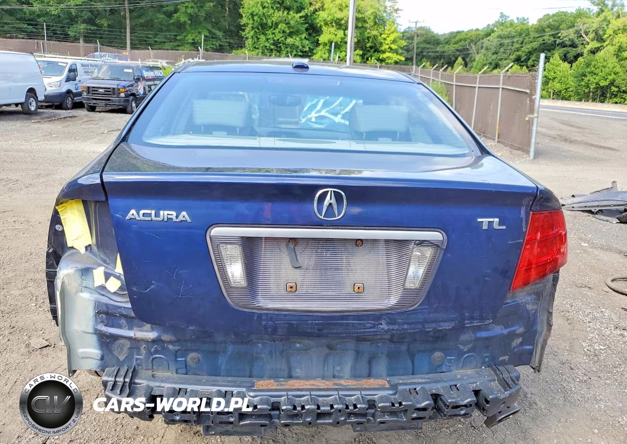 2006 Acura 3.2Tl VIN:19UUA66256A077400 - 6