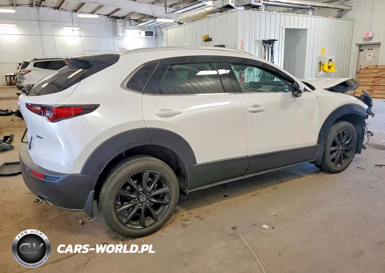 2020 Mazda Cx-30 Premium VIN:3MVDMBEM5LM128649 - 3