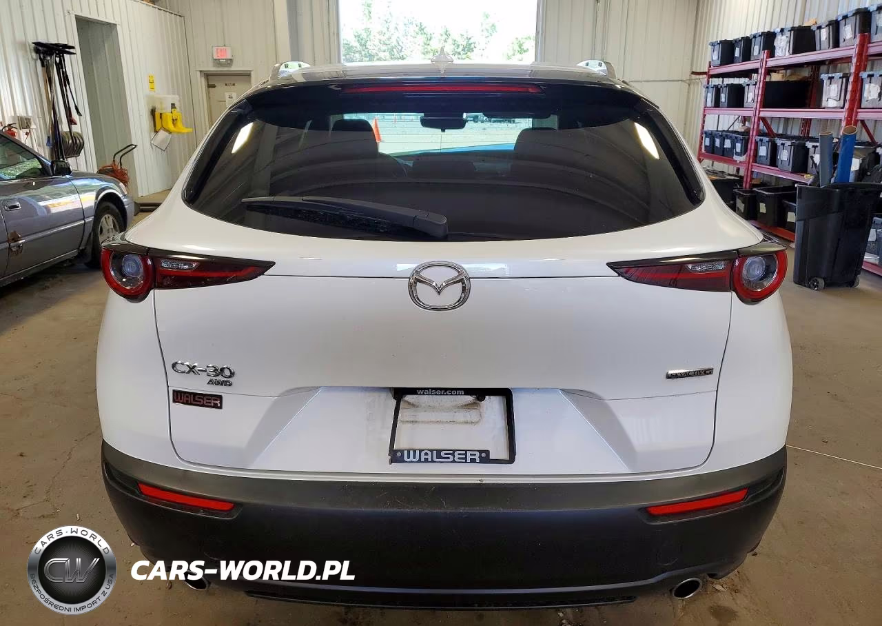 2020 Mazda Cx-30 Premium VIN:3MVDMBEM5LM128649 - 6