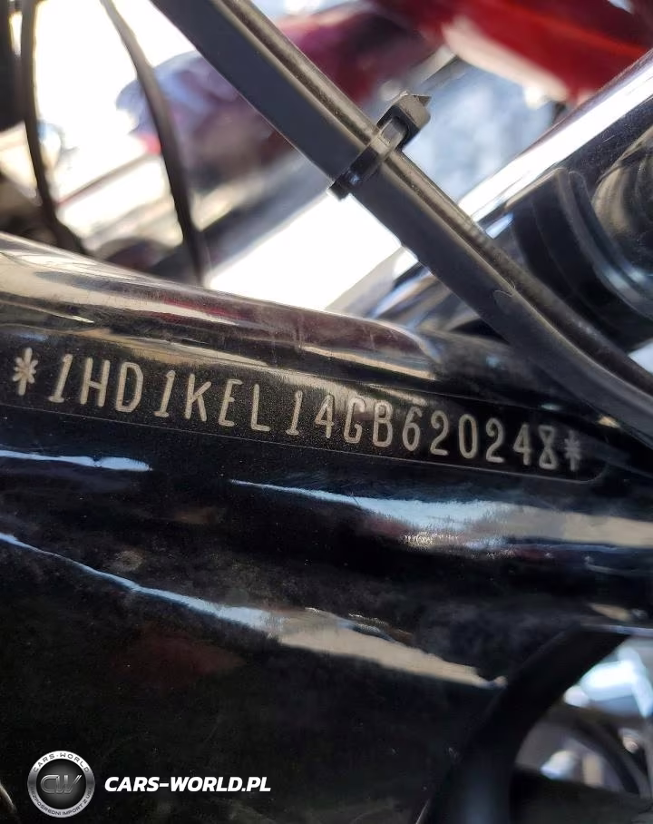 2016 Harley-Davidson Flhtk Ultra Limited VIN:1HD1KEL14GB620248 - 10