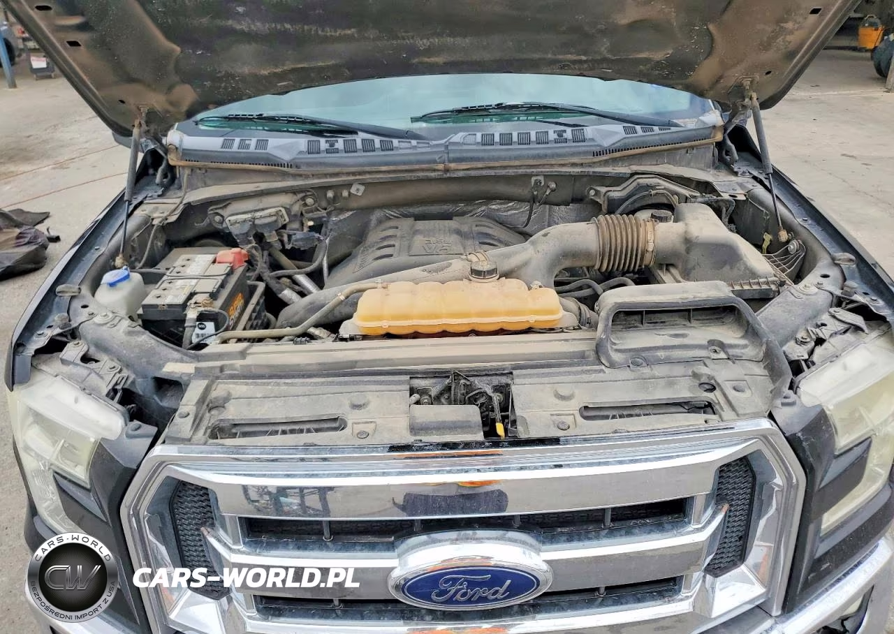 2015 Ford F150 Supercrew VIN:1FTEW1EG3FKD02167 - 11