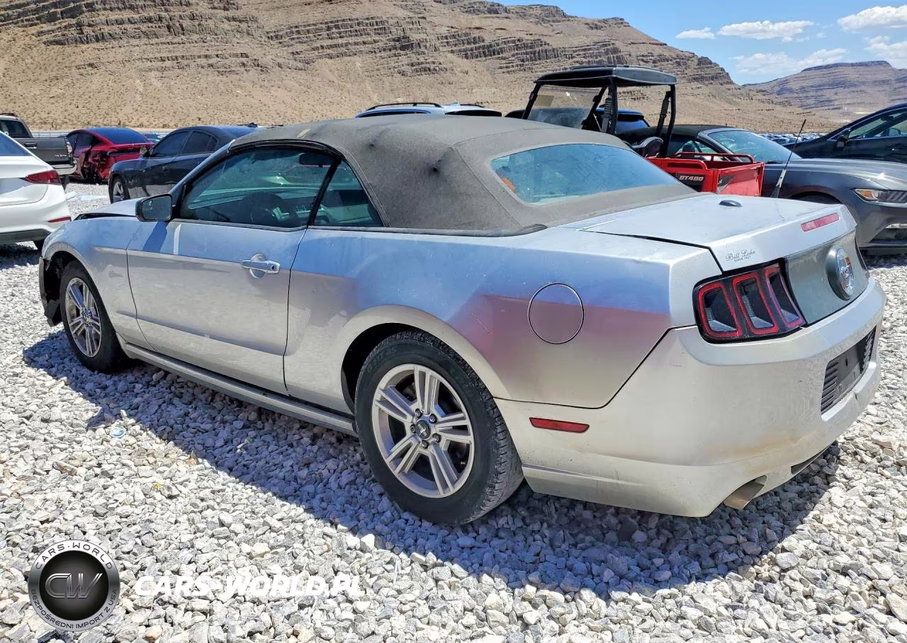2014 Ford Mustang VIN:1ZVBP8EMXE5297073 - 2