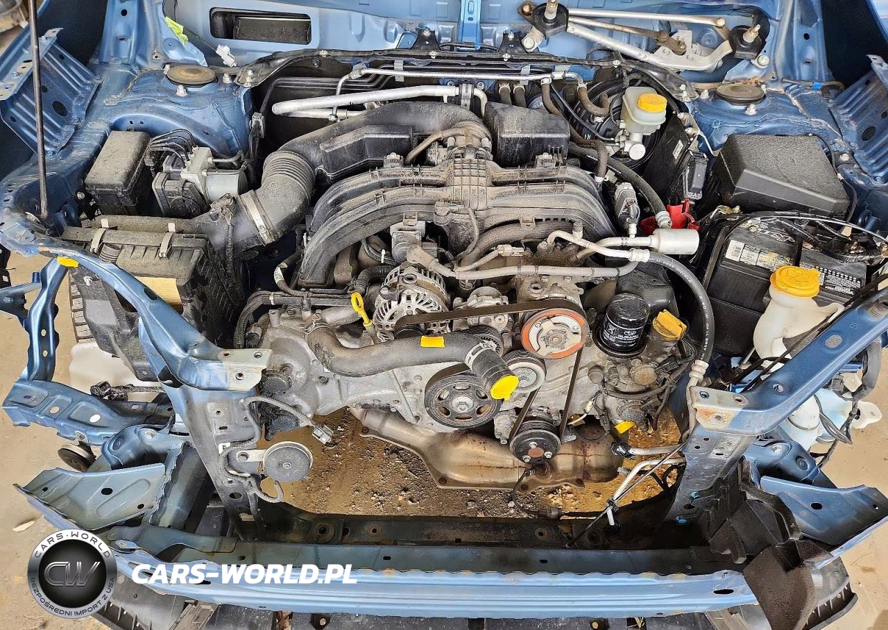 2019 Subaru Forester Premium VIN:JF2SKAEC9KH584142 - 11