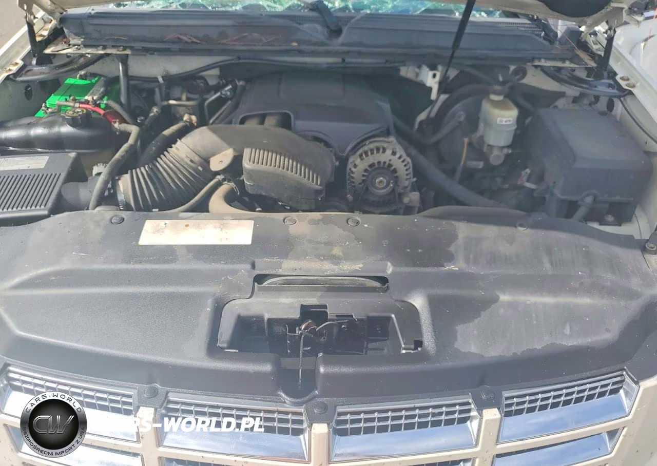 2010 Cadillac Escalade Luxury VIN:1GYUCBEF3AR257484 - 12