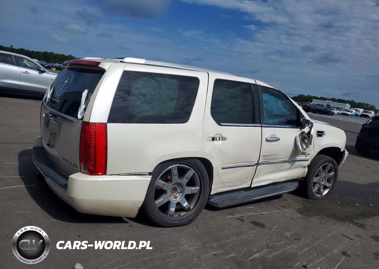 2010 Cadillac Escalade Luxury VIN:1GYUCBEF3AR257484 - 3