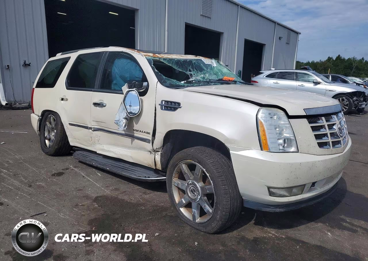 2010 Cadillac Escalade Luxury VIN:1GYUCBEF3AR257484 - 4