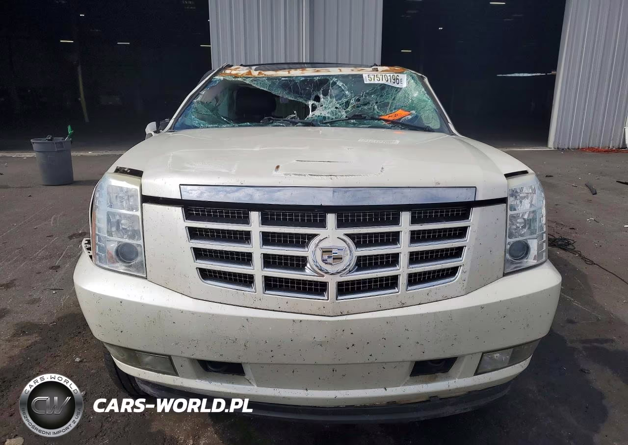 2010 Cadillac Escalade Luxury VIN:1GYUCBEF3AR257484 - 5