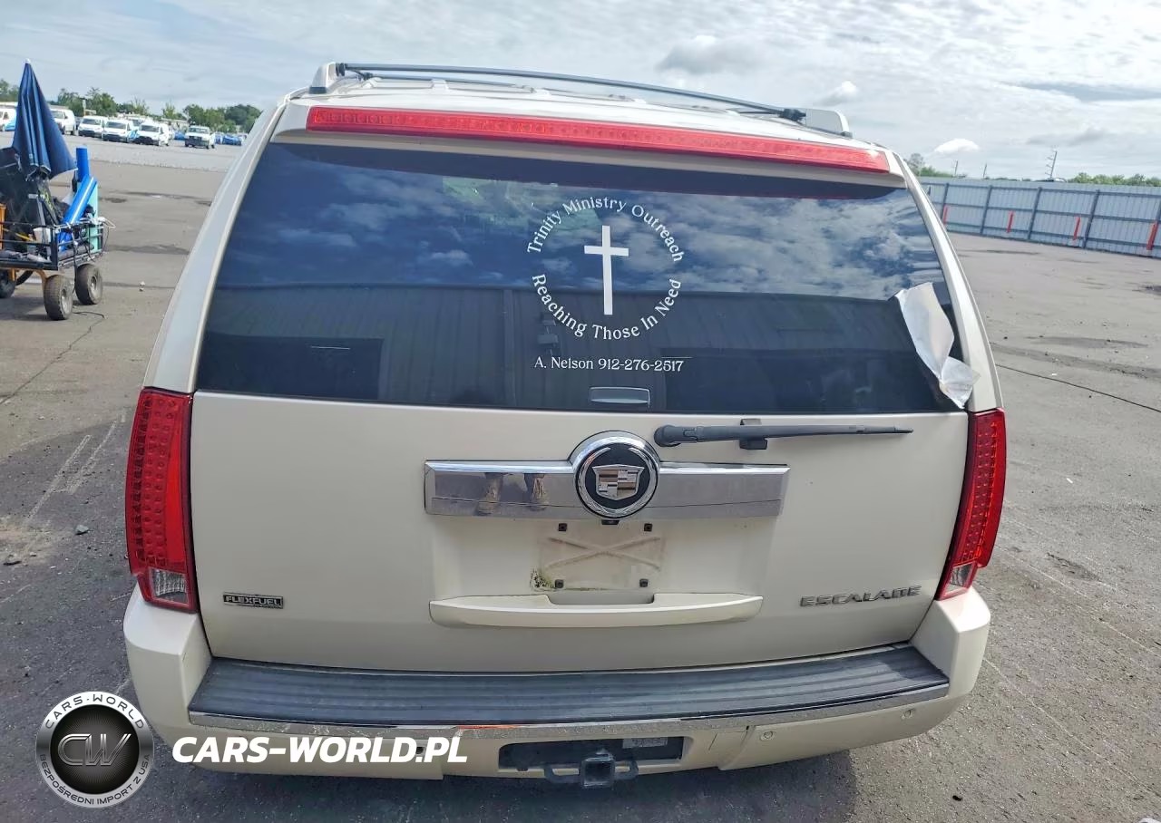 2010 Cadillac Escalade Luxury VIN:1GYUCBEF3AR257484 - 6