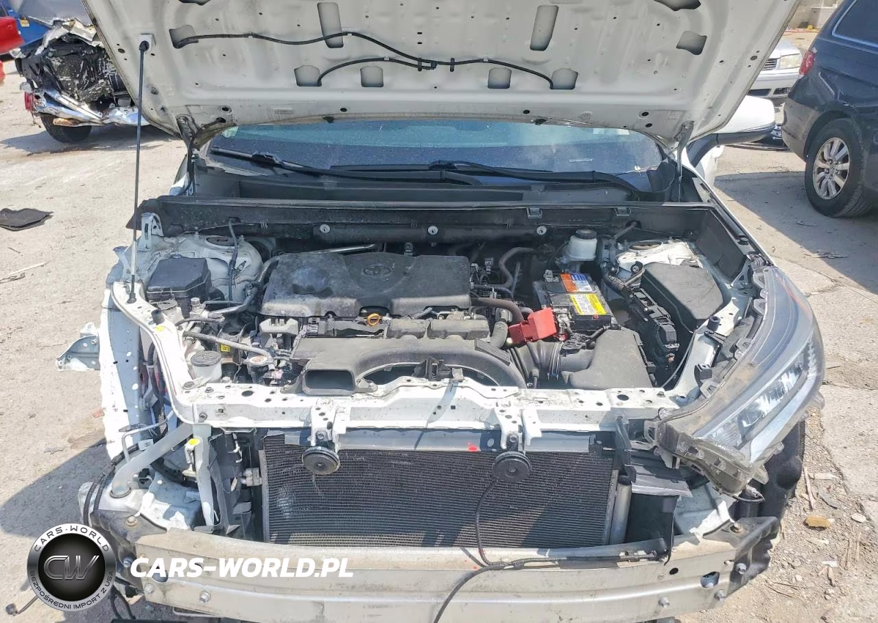 2019 Toyota Rav4 Xle VIN:2T3P1RFV1KC019157 - 12