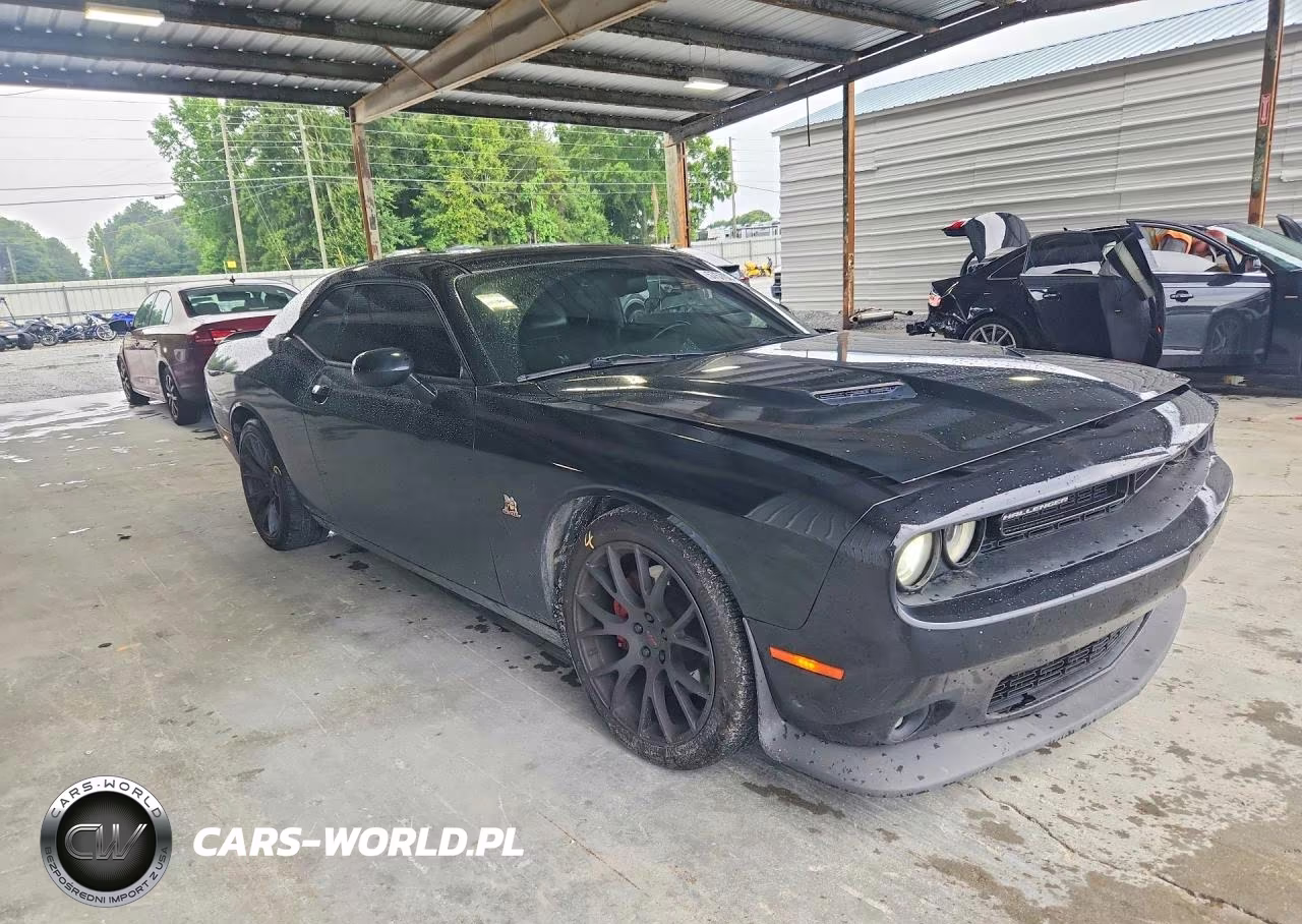 2016 Dodge Challenger R VIN:2C3CDZFJ6GH256594 - 4