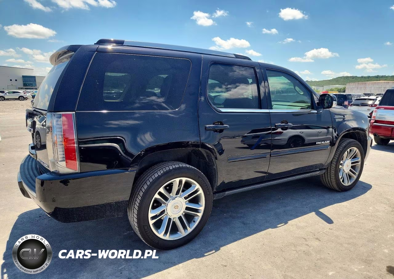 2014 Cadillac Escalade Premium VIN:1GYS3CEF8ER150756 - 3