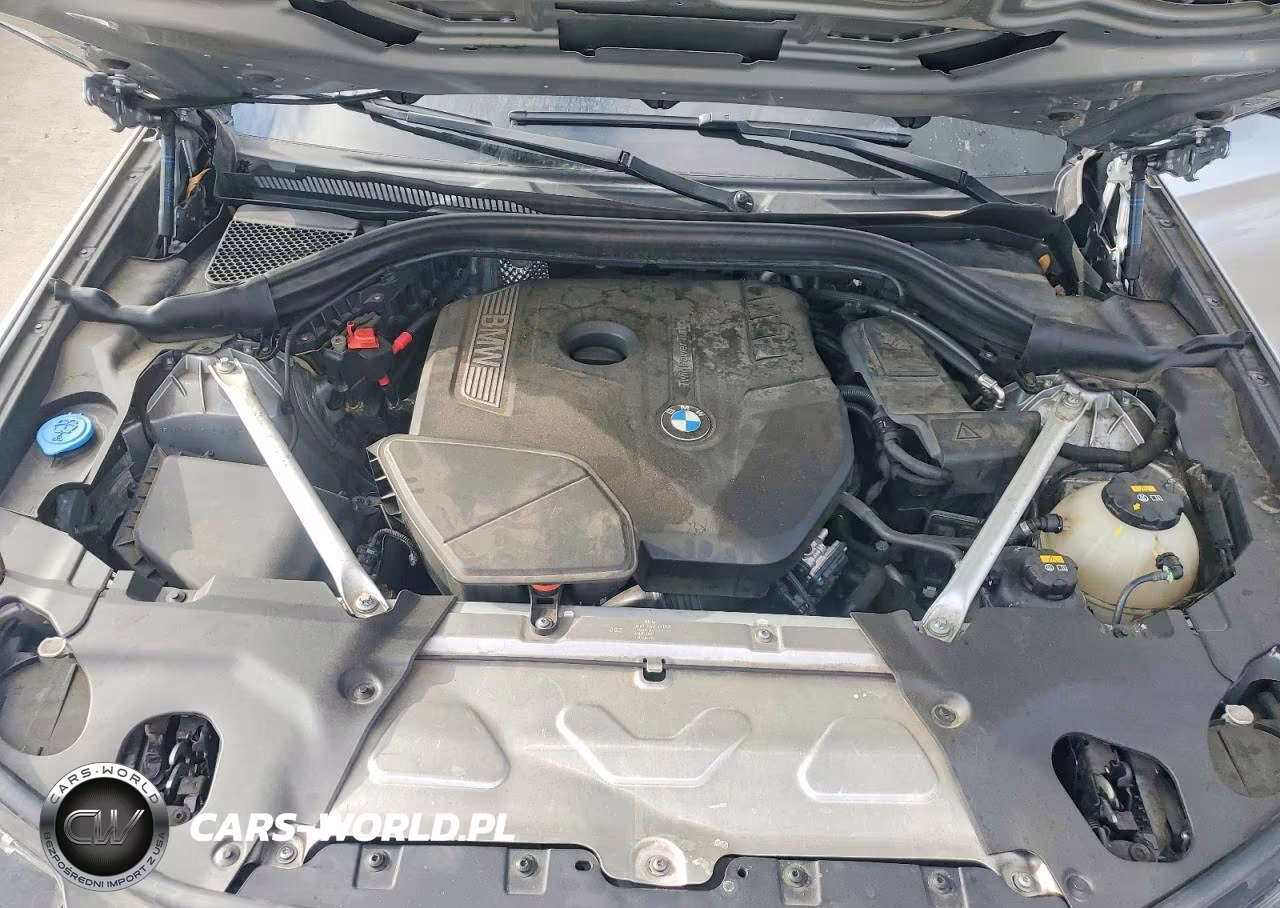 2019 BMW X3 Sdrive30I VIN:5UXTR7C57KLA48603 - 12